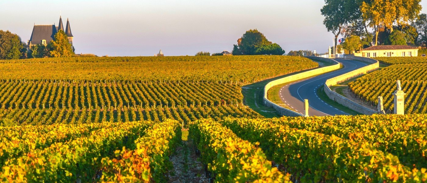 bordeaux wine tours - Wine Paths
